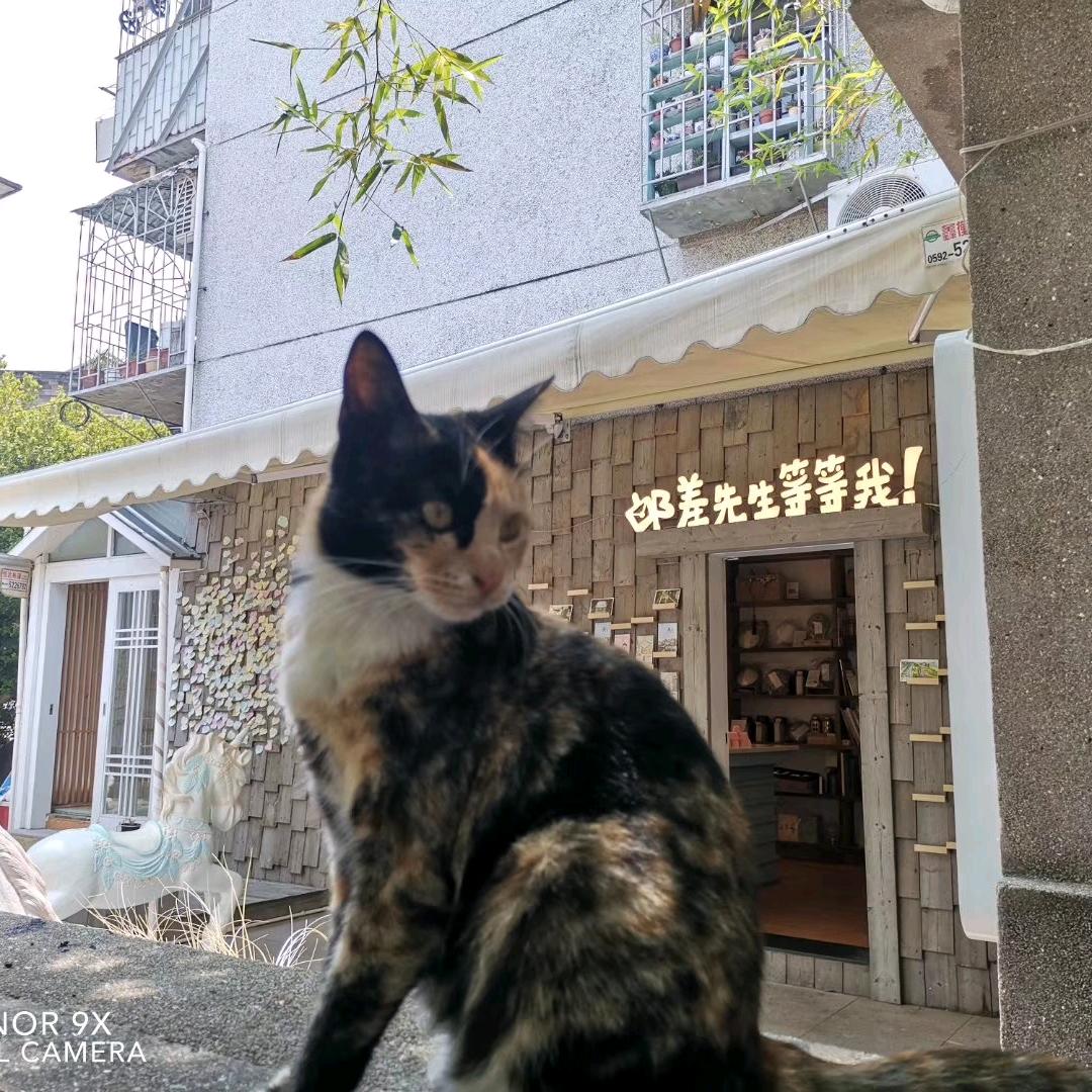 画一个圈圈
