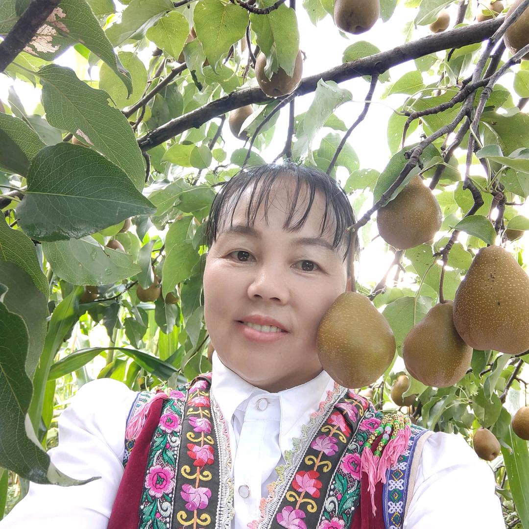 好运来