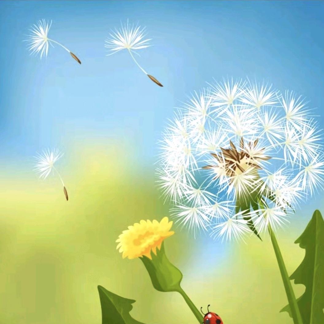 蒲公英(^_^)