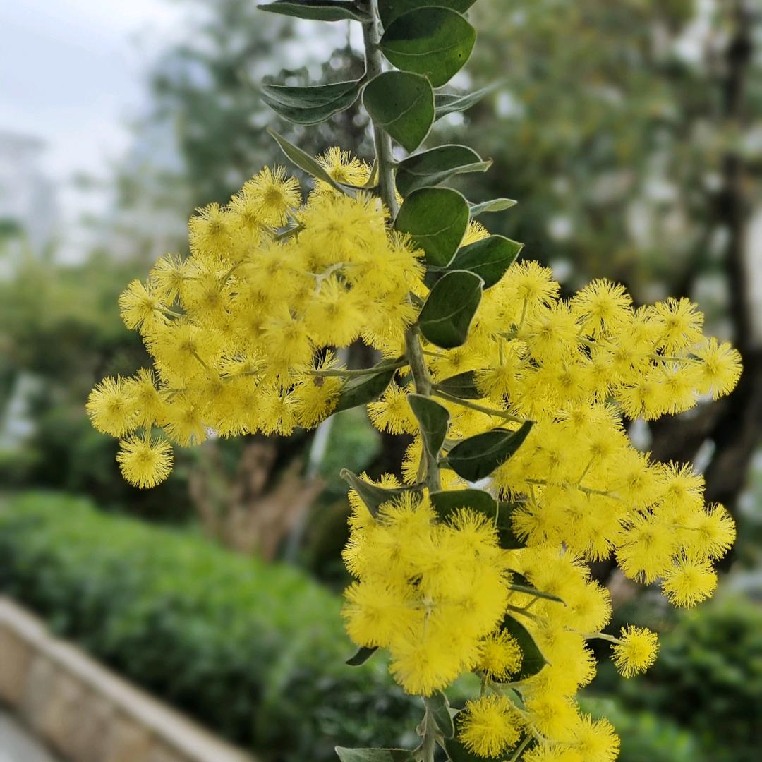 晴阳商贸中心
