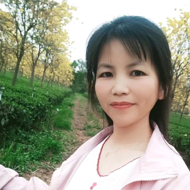 燕子yz