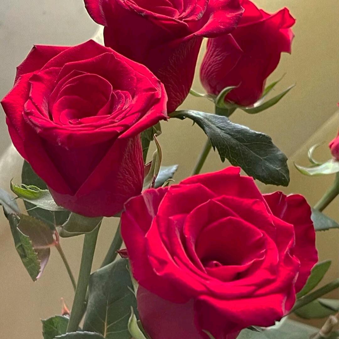 快乐人生幸福一家