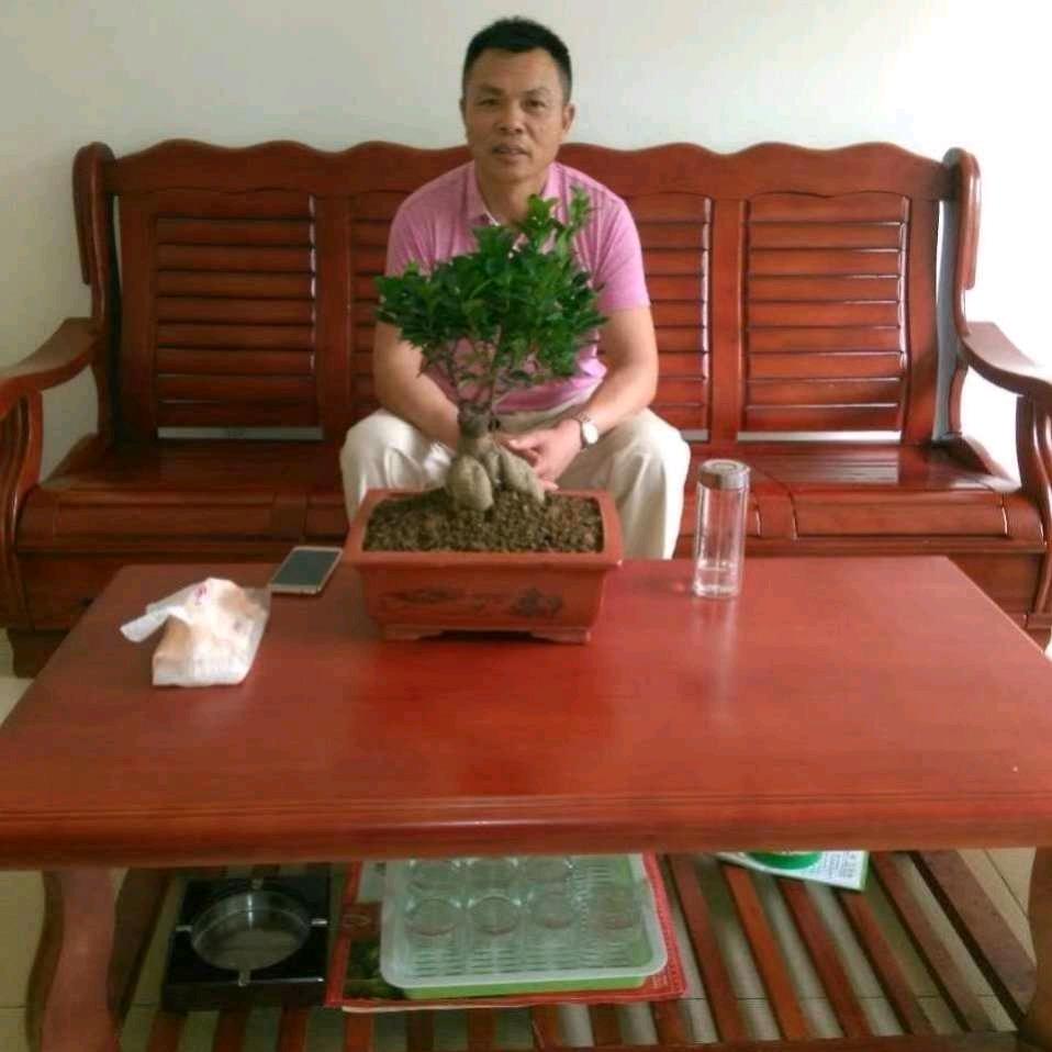 东方之龙