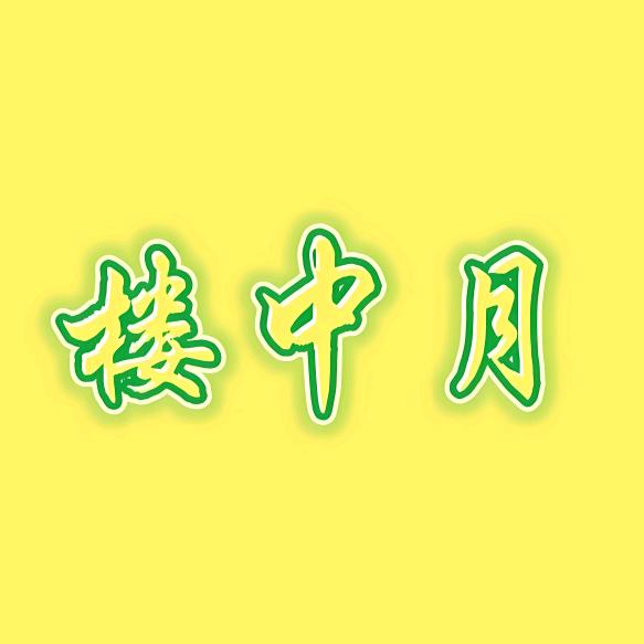 楼中月影视