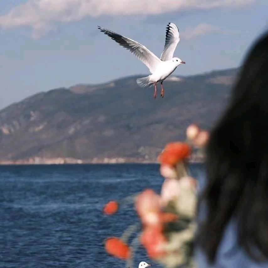 北戴河90后房东小姐姐