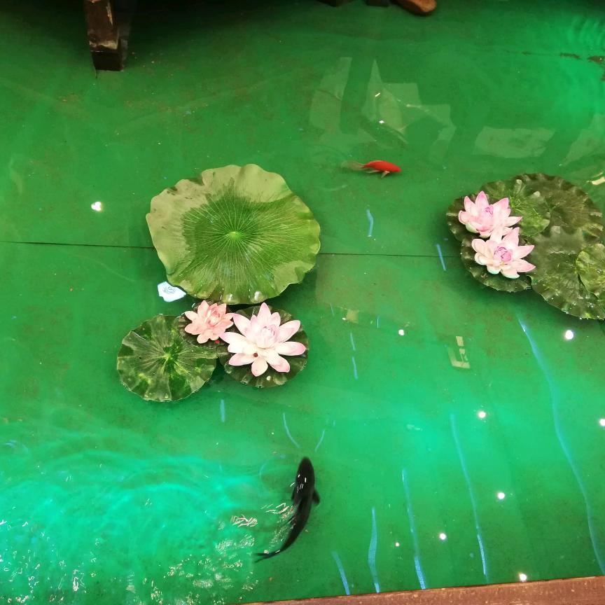 流月星辰