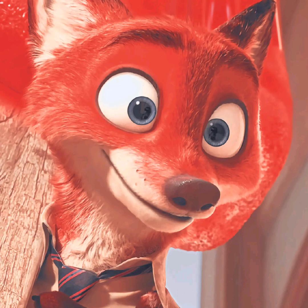 看完五月天期待周杰伦