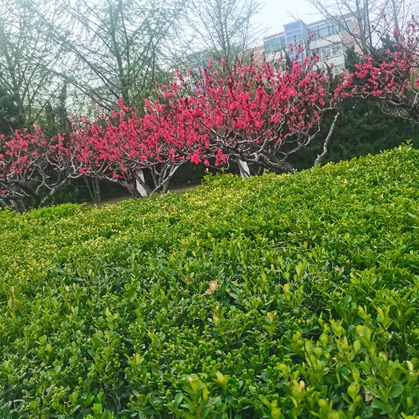 用户6097880909438