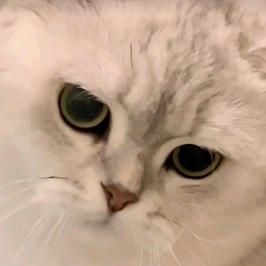 无所谓，我会发疯