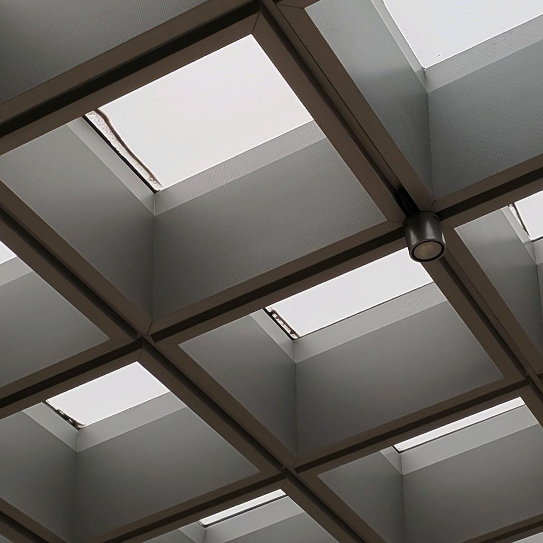 why小红帽这么好看！