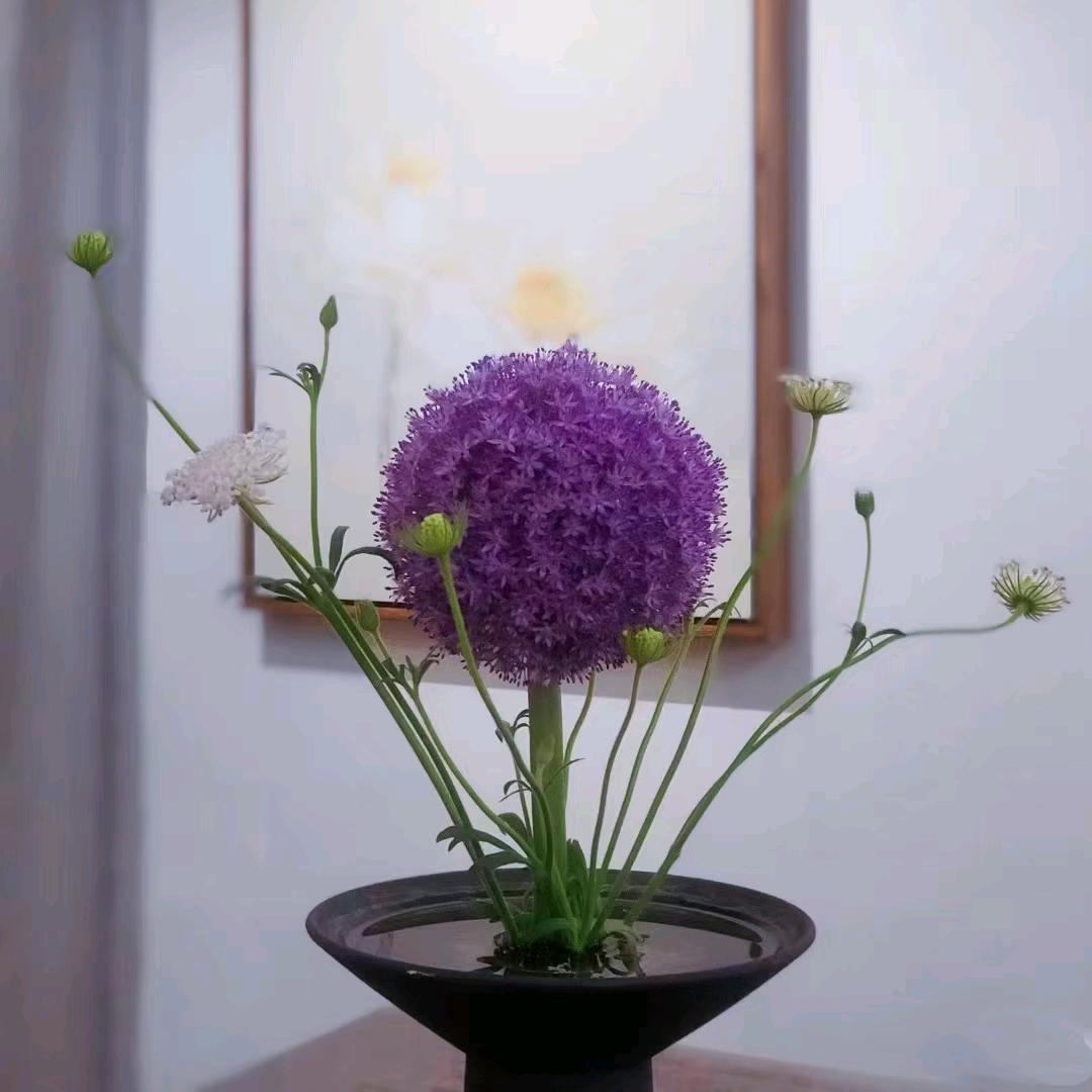 戒不掉的习惯
