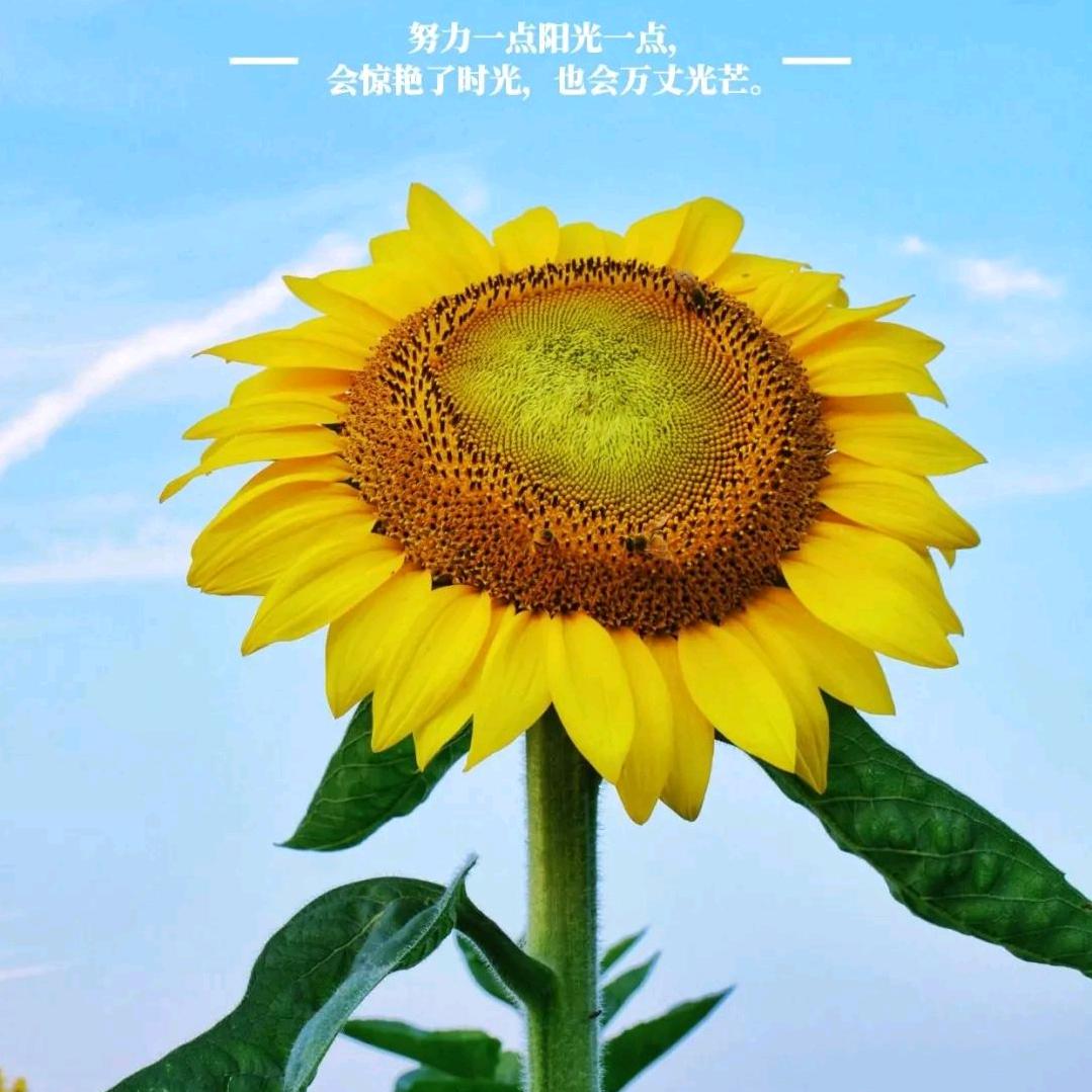 尙品