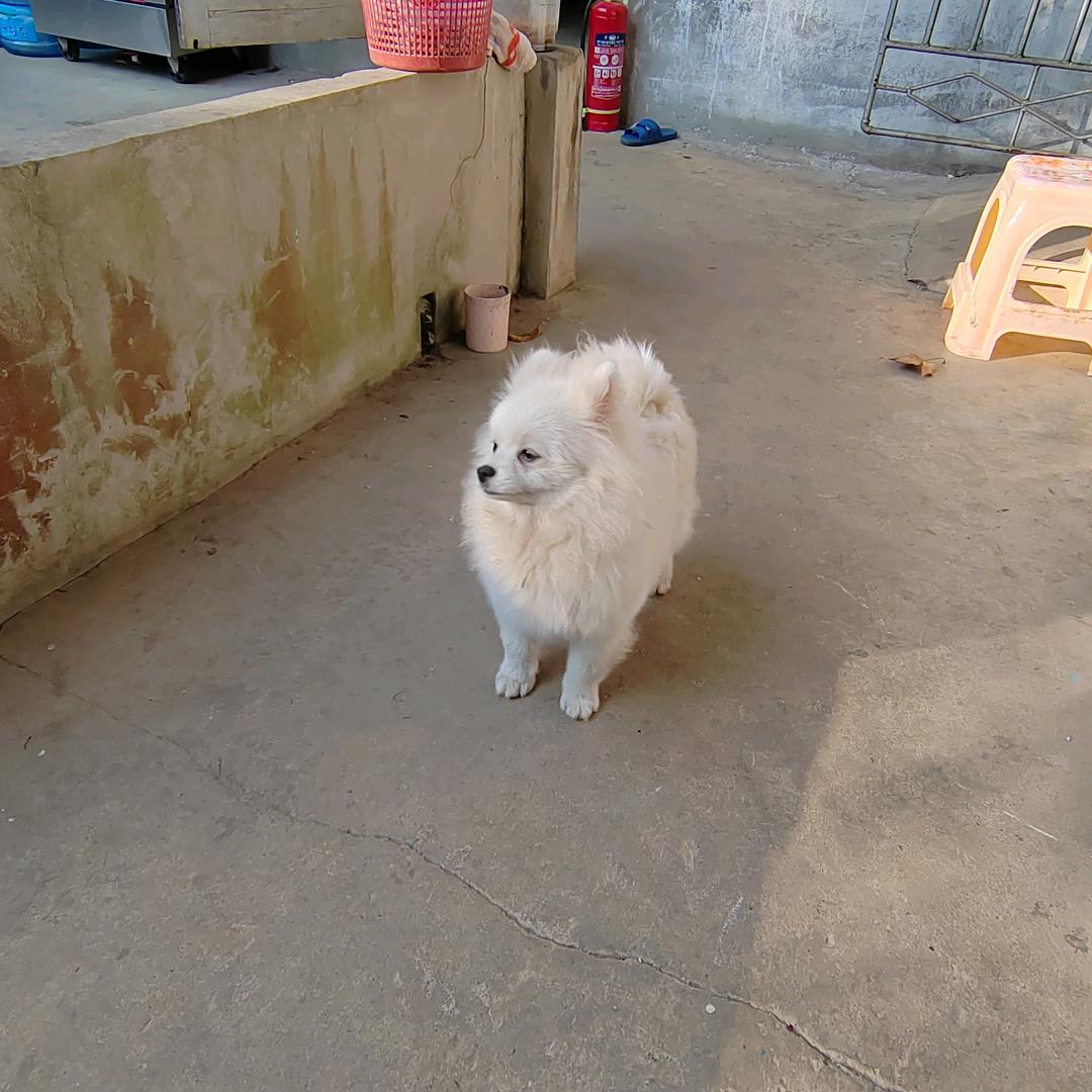 倾世年华.夜色未央