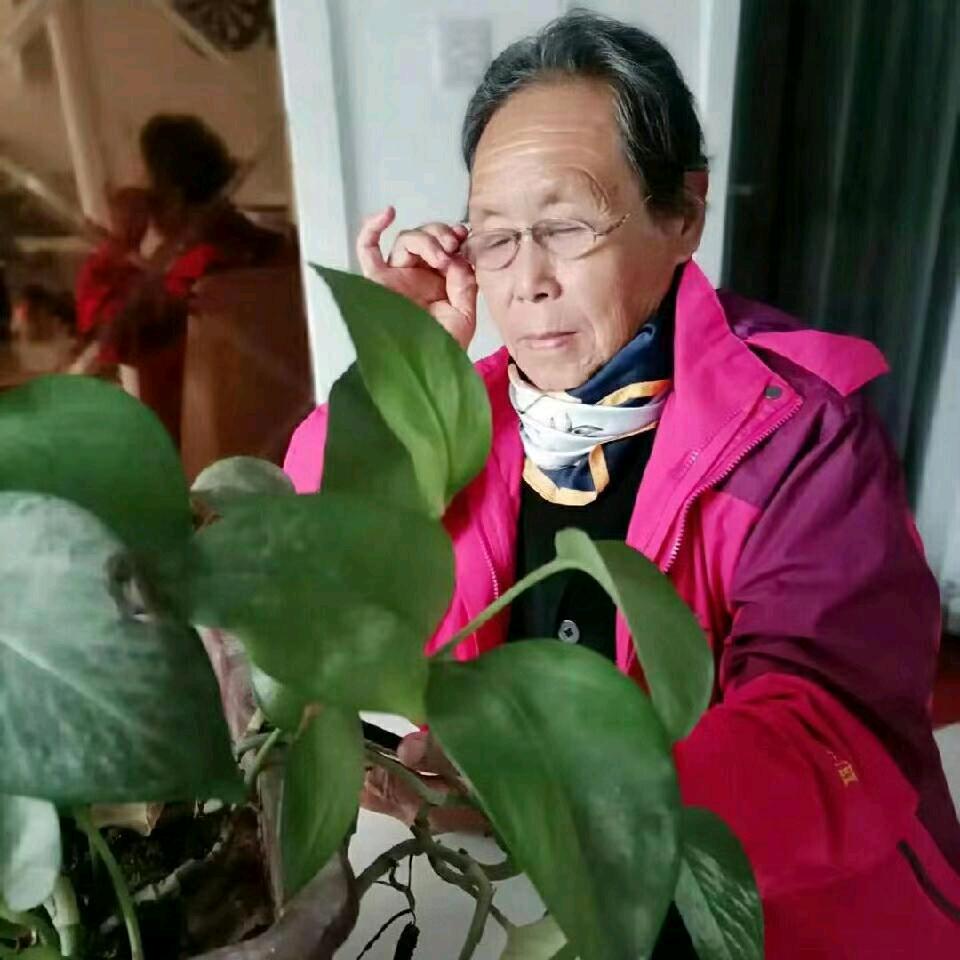 耄耋之年祥和安康