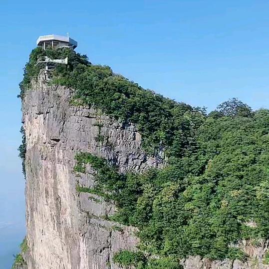 糊涂哥