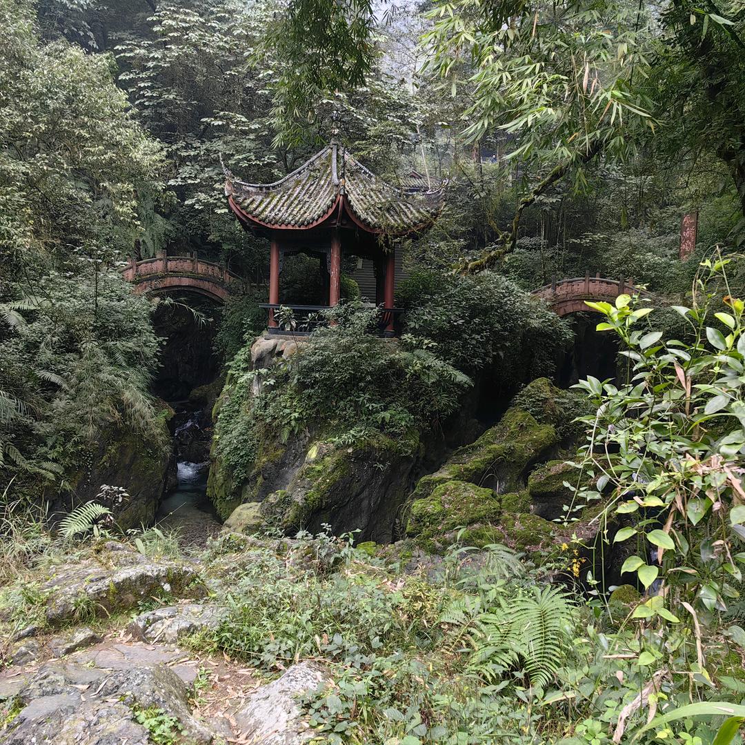 跟着感觉走