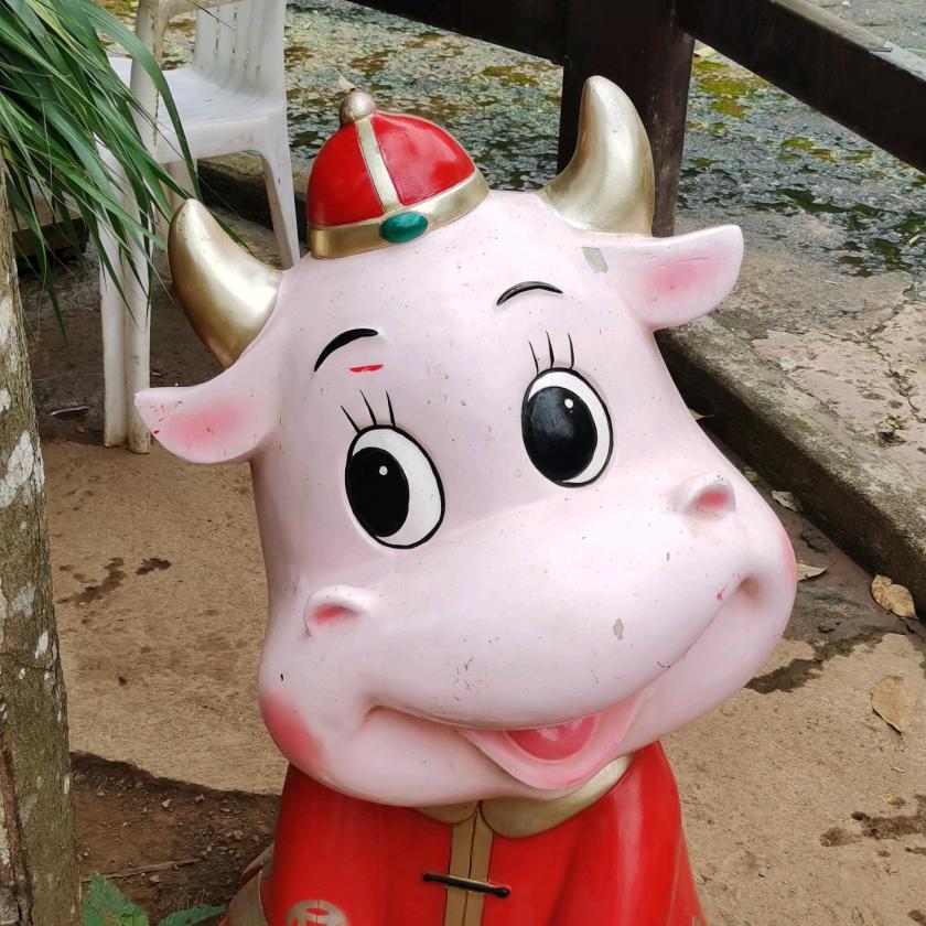 怀若谷806