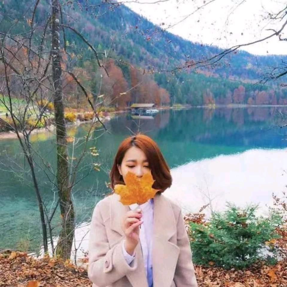 枫叶🌸
