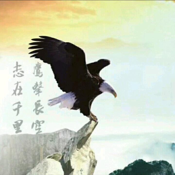 好歌分享