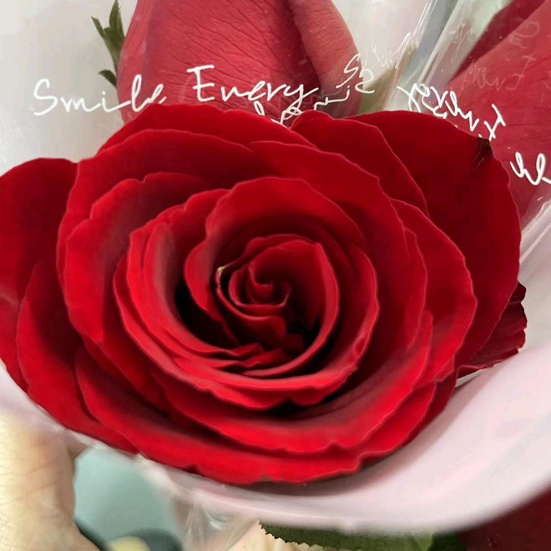 ^_^春暖花开^_^