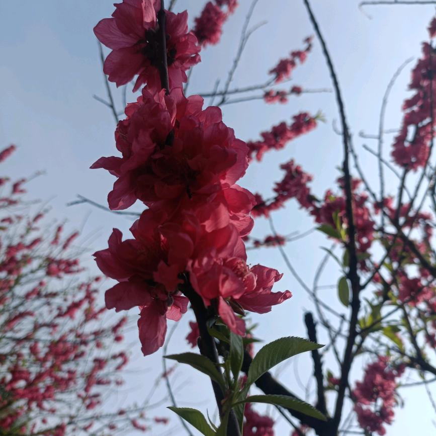 彩虹用户9032120004351