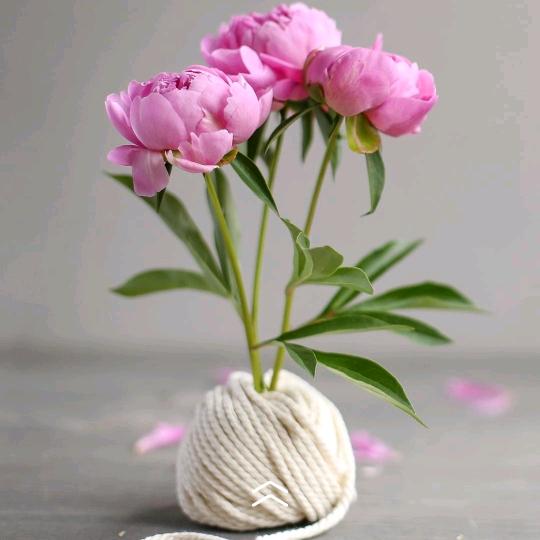 茉莉花