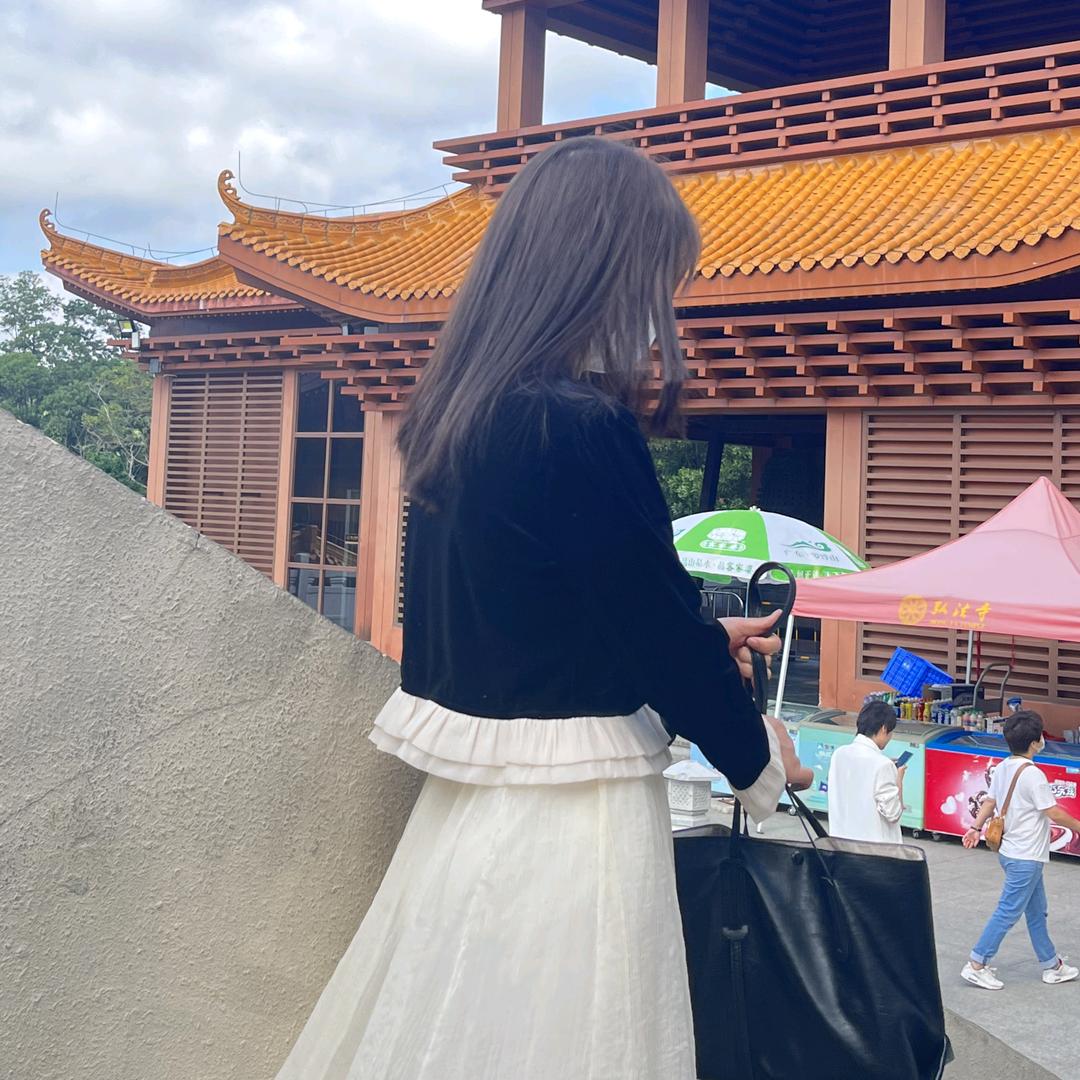 呆橘