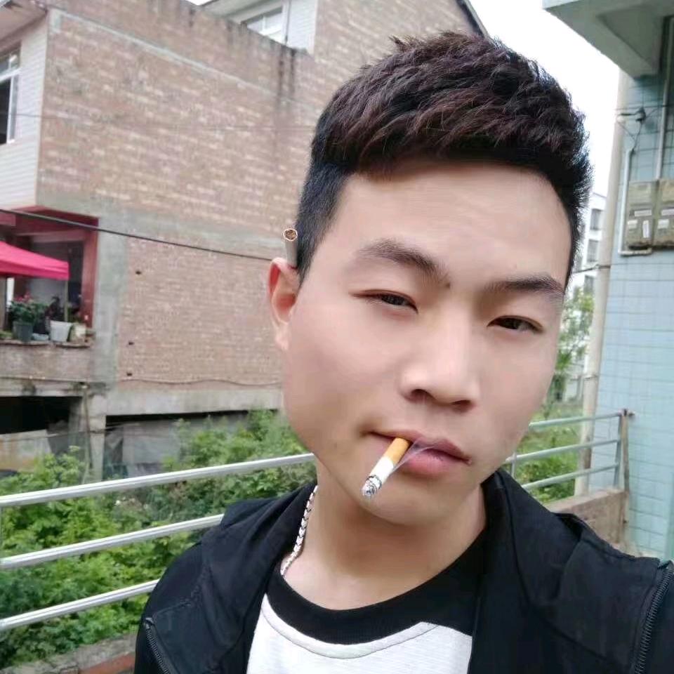 川K勤劳的小蜜蜂