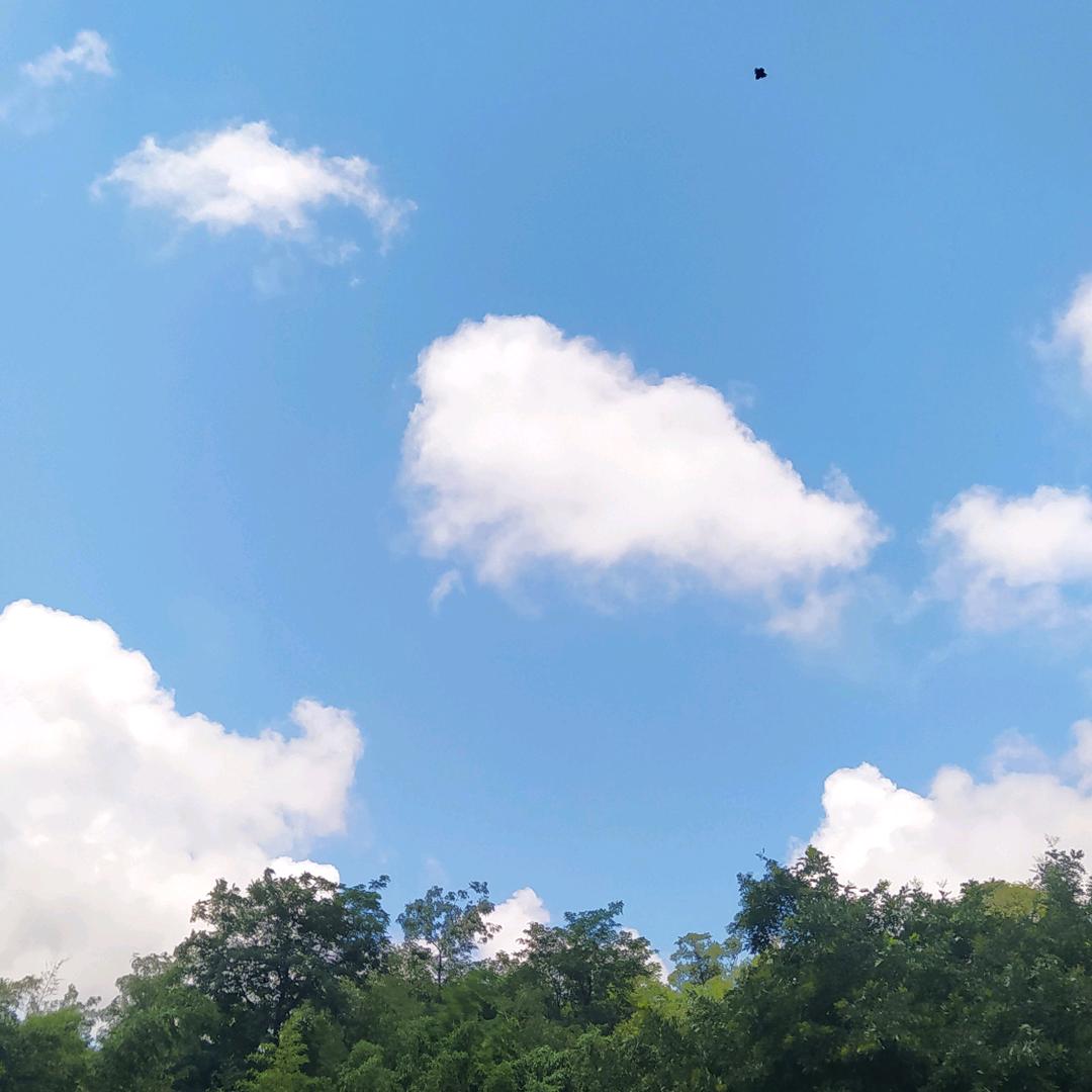 小苏