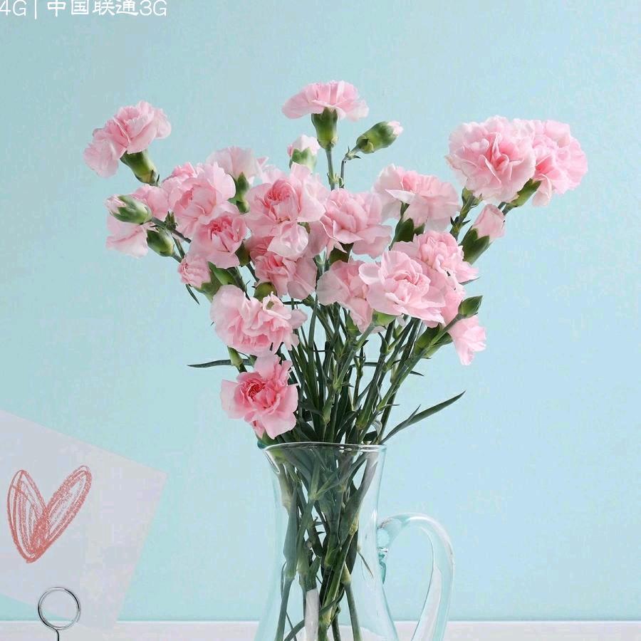 💕(美好💖如期💞而遇)💕♡