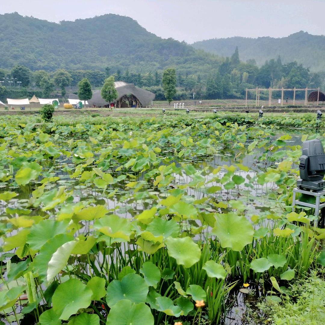 兴和生活甄选