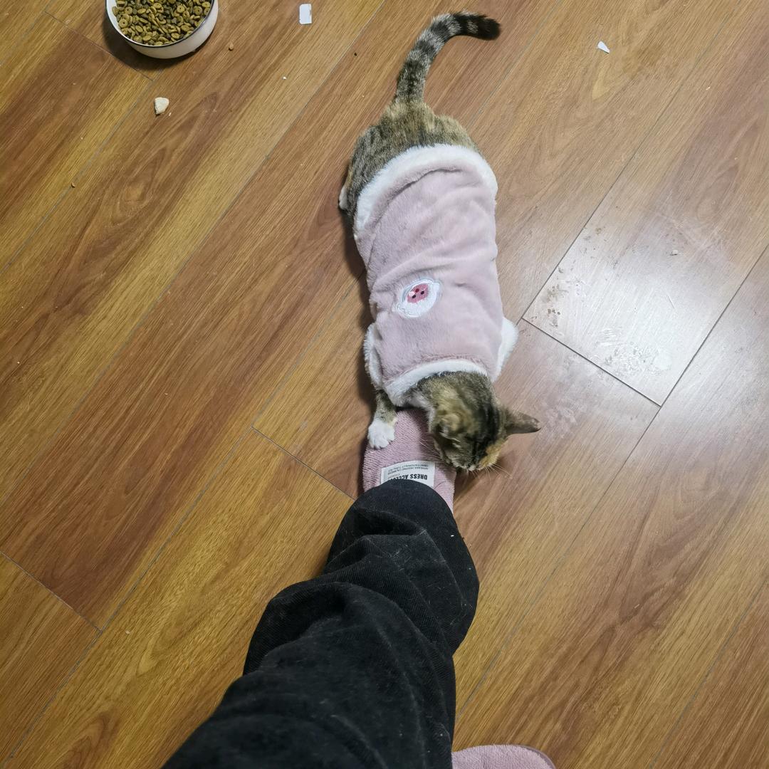 森水铺子头像