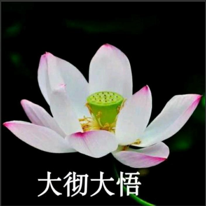 樊