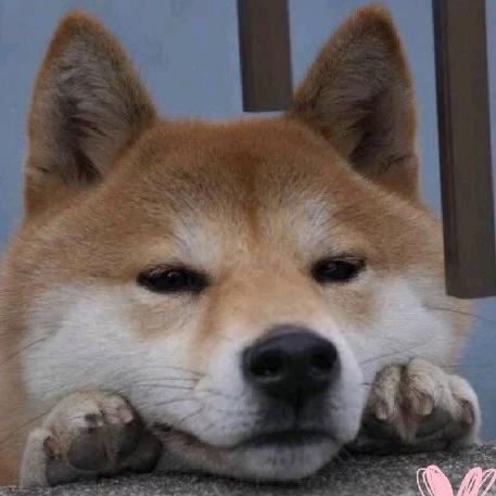 黑米线