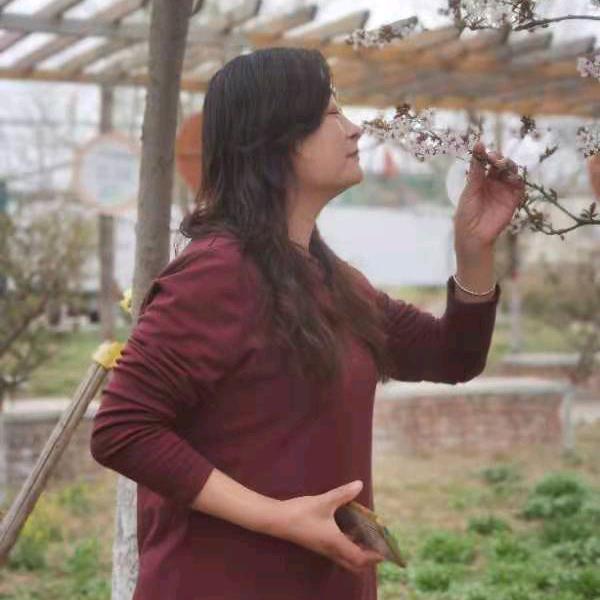 水晶 回族 周口郑州拼车专线