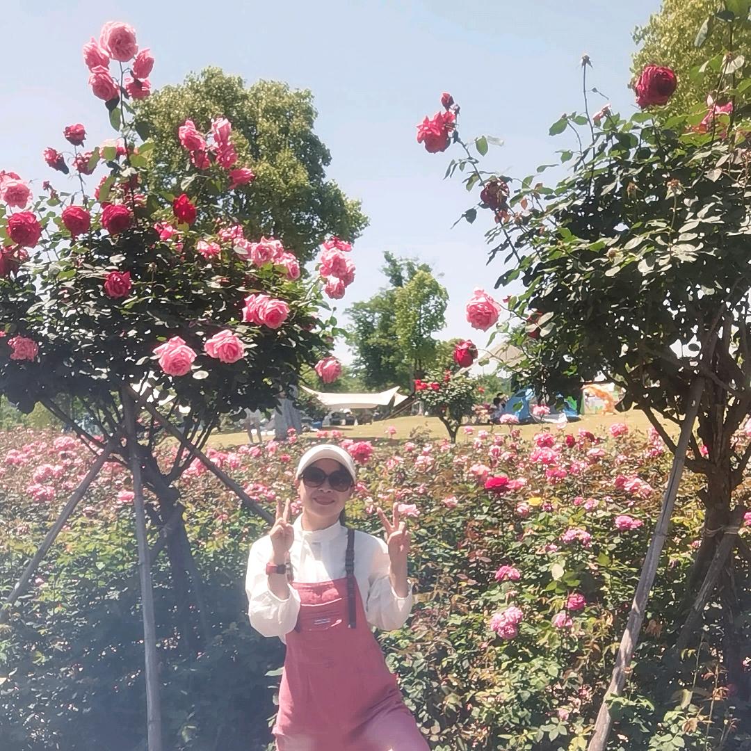 三姐🌹💃🏻