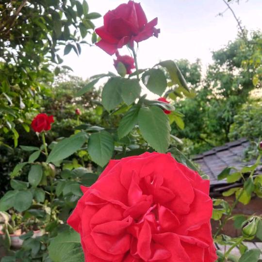 💞把心꧔ꦿ᭄归零💞꧔ꦿ᭄