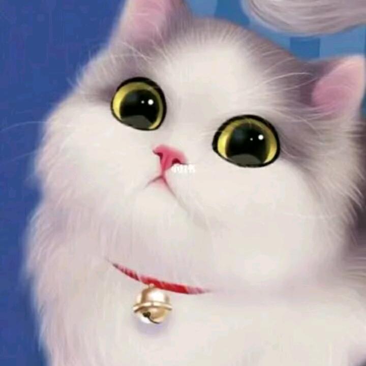 烟台奥铃轻卡城