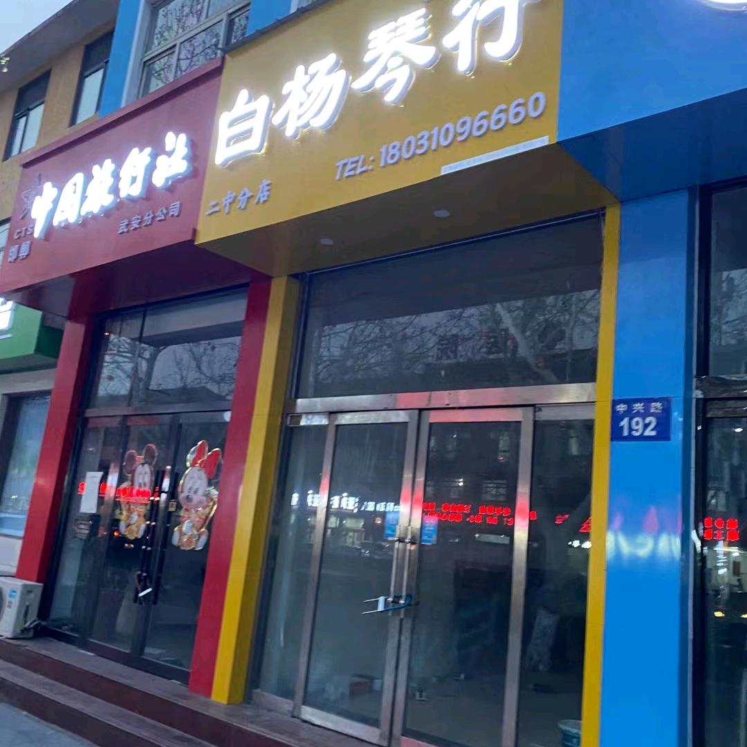 武安市白杨琴行老师A