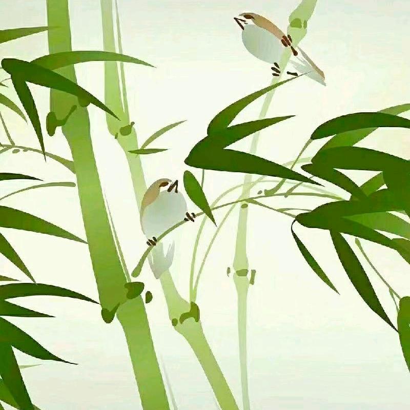 竹笙锦瑟