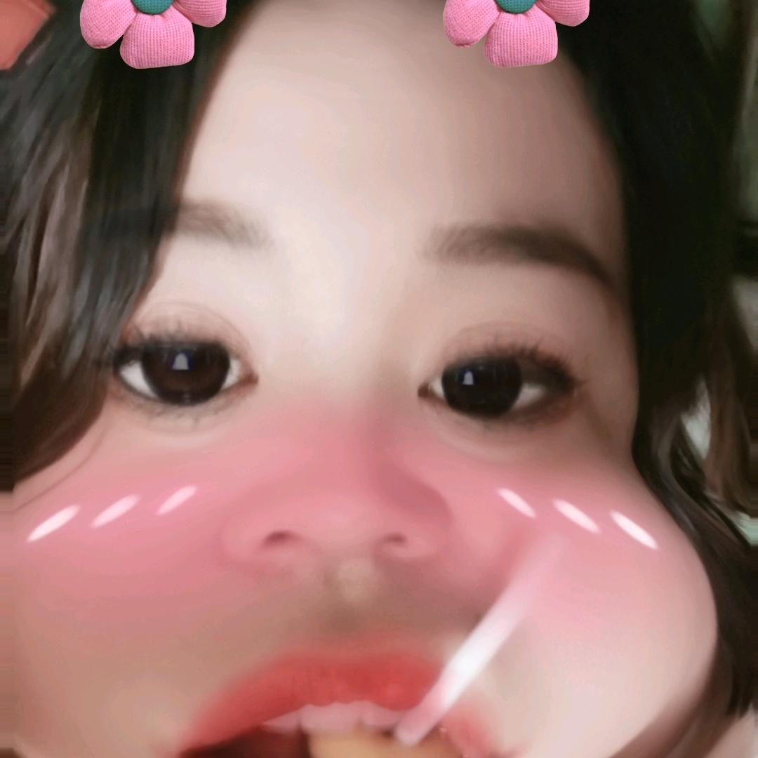 屋顶的猫