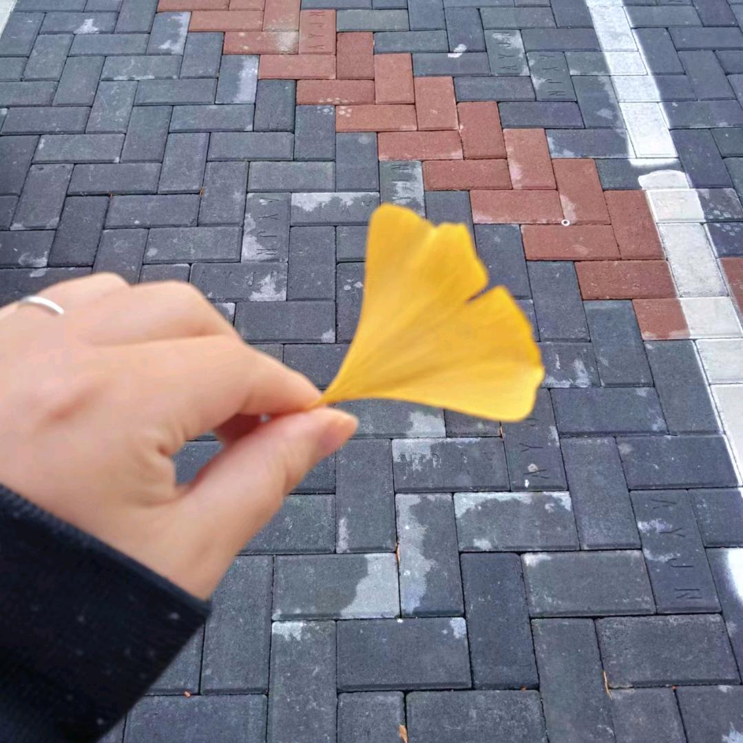 🌹屳屳屲冚🌻