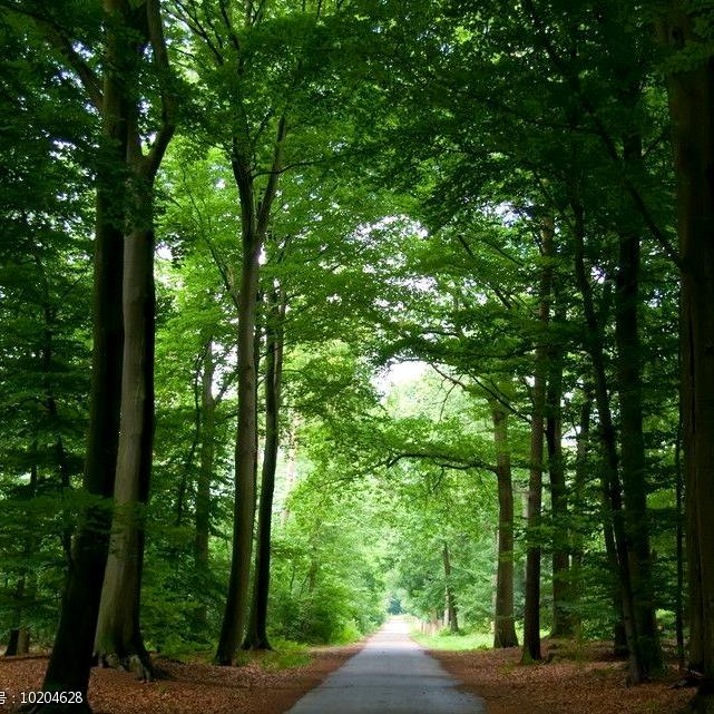 面带微笑依乏寻虚以假寻真以病入道心闲形逸