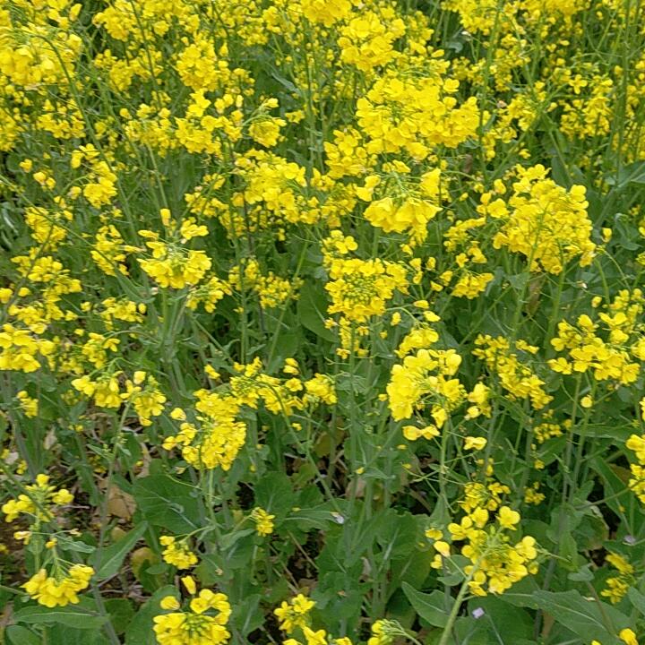 平安健康才是福