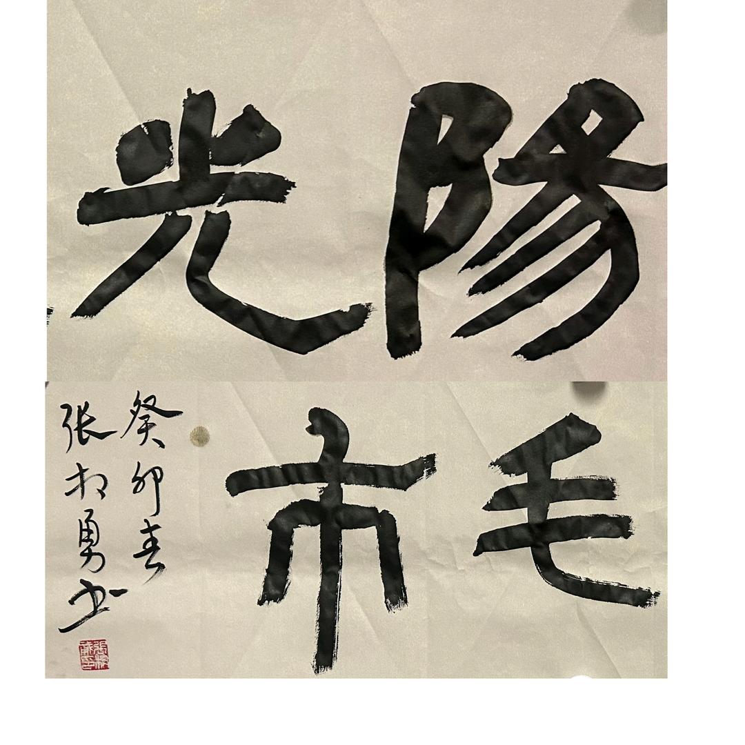 阳光毛市
