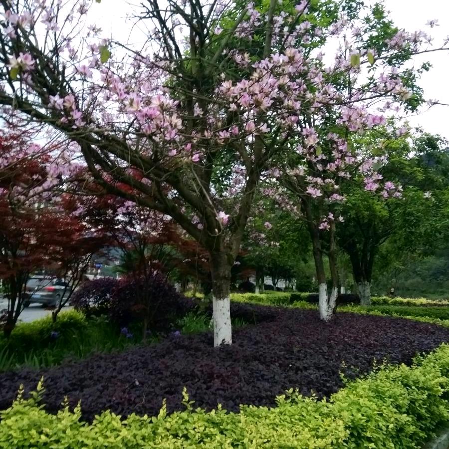 H艳（拒绝私聊）