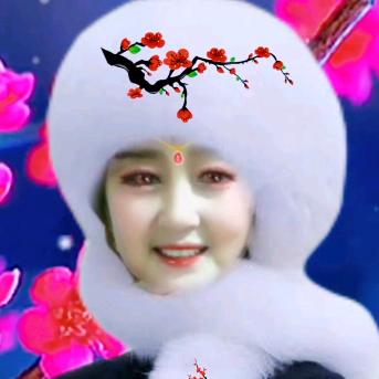 屈家多宝