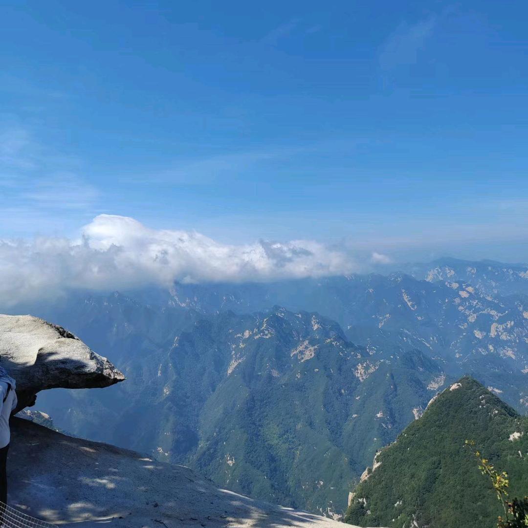 绿水染清风