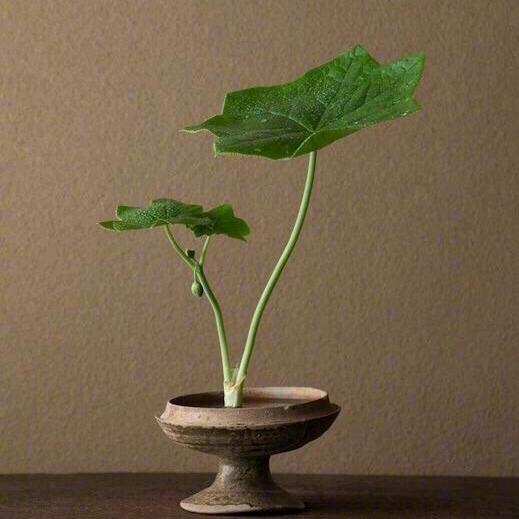 帆影好物
