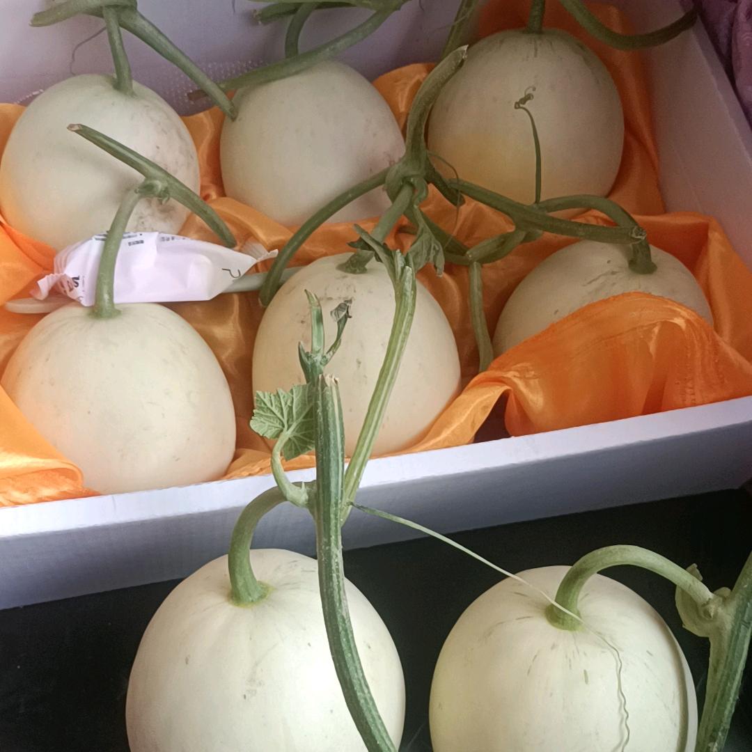 💕᭄ꦿ穿透ᮩ້心灵ོ࿆的、冰᭄🕊